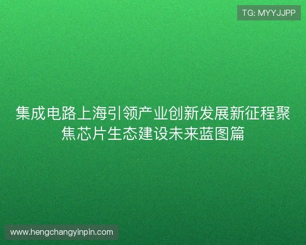 集成电路上海引领产业创新发展新征程聚焦芯片生态建设未来蓝图篇